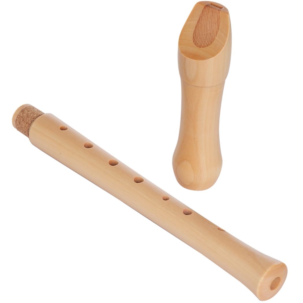 Amazon.com: Recorder Soprano Blockflöte Wooden Instrument For